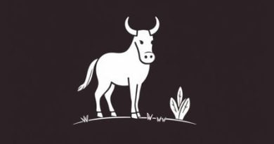 Coco Wyo Colouring Pages