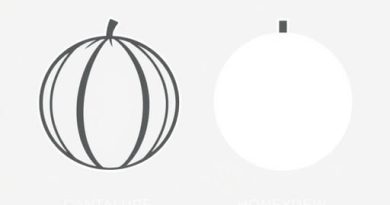 Difference Between Cantaloupe And Honeydew