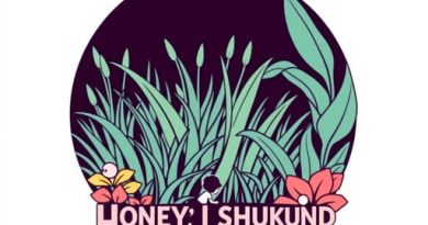 Disney World Honey I Shrunk The Kids