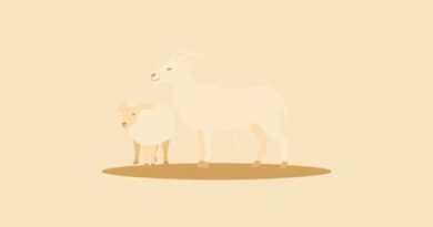 Domestication Of Animals In Neolithic Age