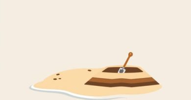 Doubtless Bay Archaeological Excavation