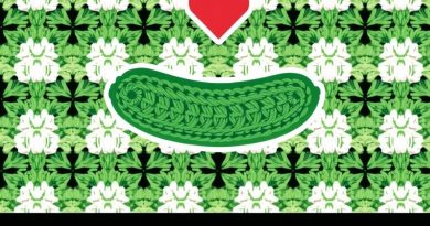 Emotional Support Pickle Crochet Pattern