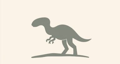 Flakes In Paleolithic Age