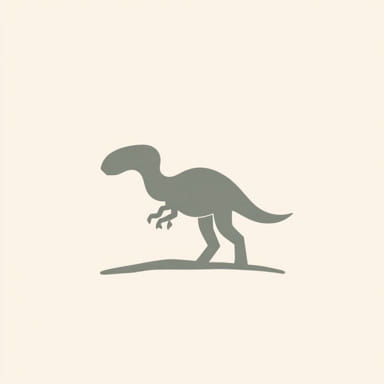 Flakes In Paleolithic Age