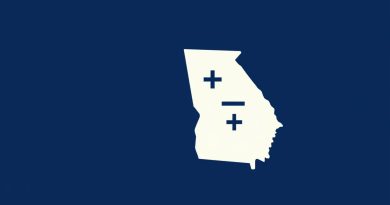 Georgia Standards Of Excellence Math