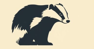 How Tall Is Skulker Russian Badger