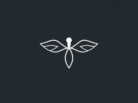 How To Pronounce Fragility