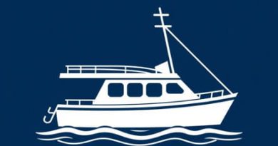 Hull White Bermudan Swaption