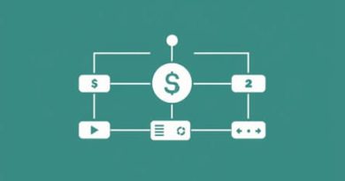 Installation Of Budgetary Control System