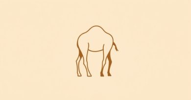 Is Dromedary Gingerbread Mix Still Available