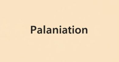Is Palliation A Word?