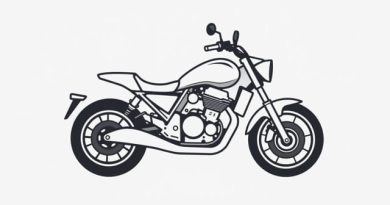 Kawasaki Mean Streak For Sale