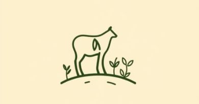 Kenya Organic Agriculture Network Koan