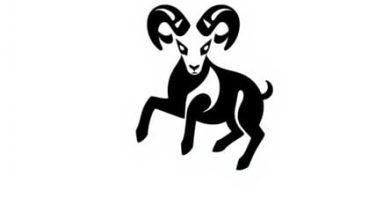 Koszulka Opadaj Ca Na Rami