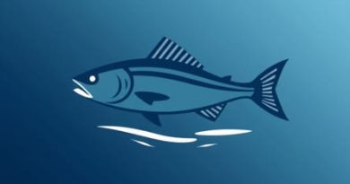 Length Of Fluorocarbon Leader