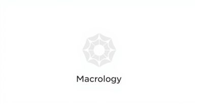 Macrology Meaning And Examples