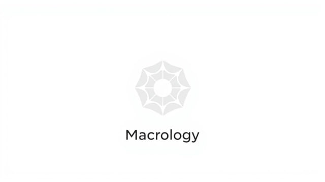 Macrology Meaning And Examples