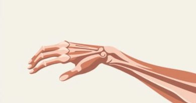 Muscles For Ulnar Deviation