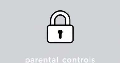 Nintendo Parental Controls Pin