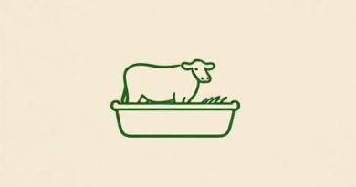 Nutrebeef Grower Finisher Feed