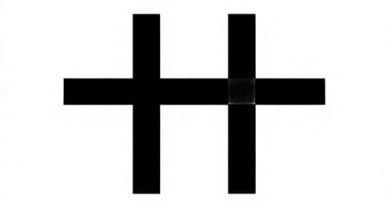 Nyt Crossword Anathema To An Aesthete