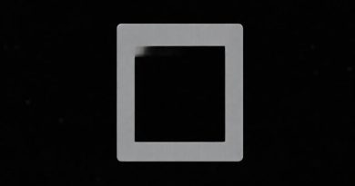 Obstinacy Crossword Clue 11 Letters