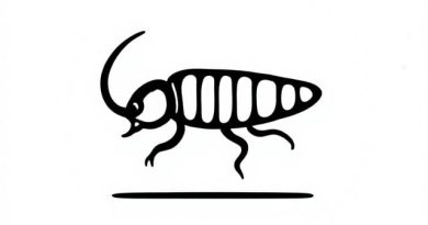 Paratyphoid Meaning In Bengali