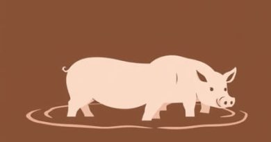 Pigs Wallow In Mud Mainly To