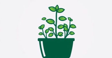 Plant Food For Hydroponics