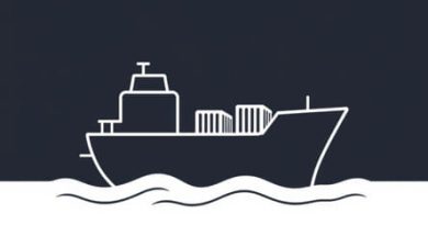 Put Cargo Aboard Crossword Clue