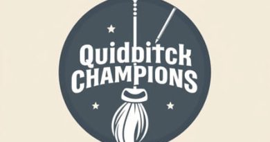 Quidditch Champions Best Broom