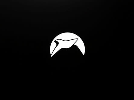 Sefton Delmer Black Boomerang