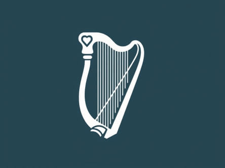 Skyward Harp Best Character