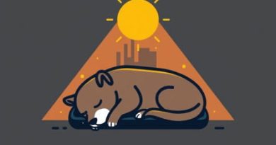 Sleeping Dogs Triangulate Phone