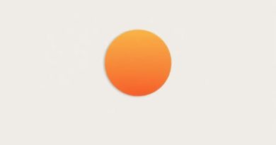 Solo Leveling Sung Jin Woo