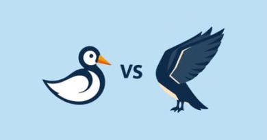 Storm Wigeon Vs Widgeon