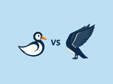 Storm Wigeon Vs Widgeon