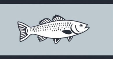 Tennessee Nonresident Fishing License