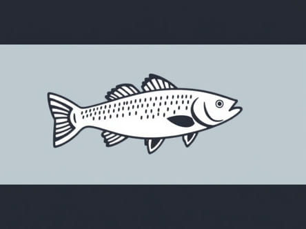 Tennessee Nonresident Fishing License