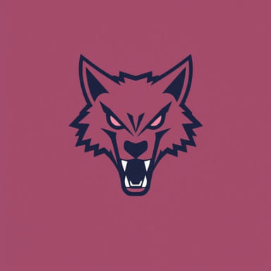 The Definition Of Rabid