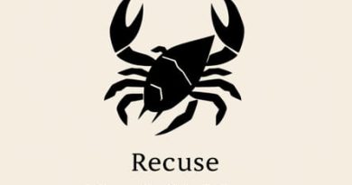 The Definition Of Recluse