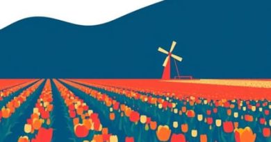 The Netherlands Tulip Fields