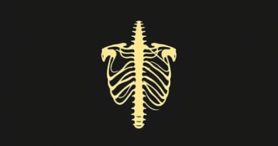 Vasa Circumflexa Humeri Posterior