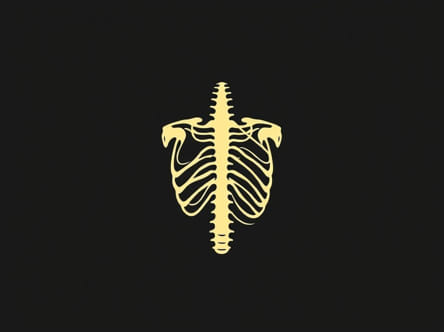 Vasa Circumflexa Humeri Posterior