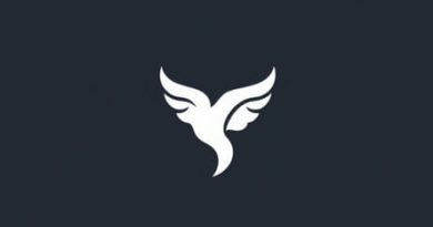 Virgule Meaning In French