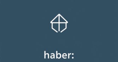 What Is Haber In Present Tense