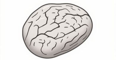 What Is The Meaning Of Leathery