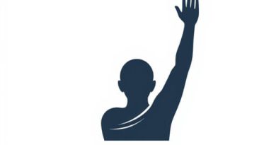 What Is The Meaning Of Pleader