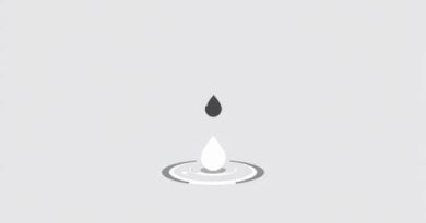 What Is The Meaning Of Plopped