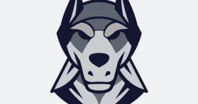 Where Is Bloodhound From Apex